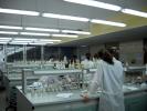 Remont laboratorium z Katedrze i Zakładzie Chemii Nieorganicznej i Analitycznej
